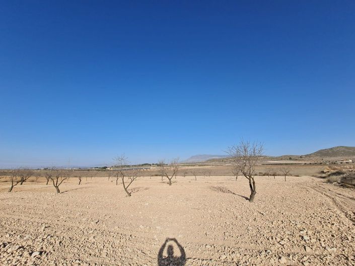 Image No.8-Land for sale