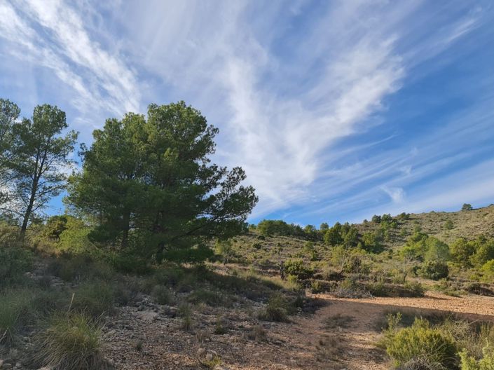Image No.5-Land for sale
