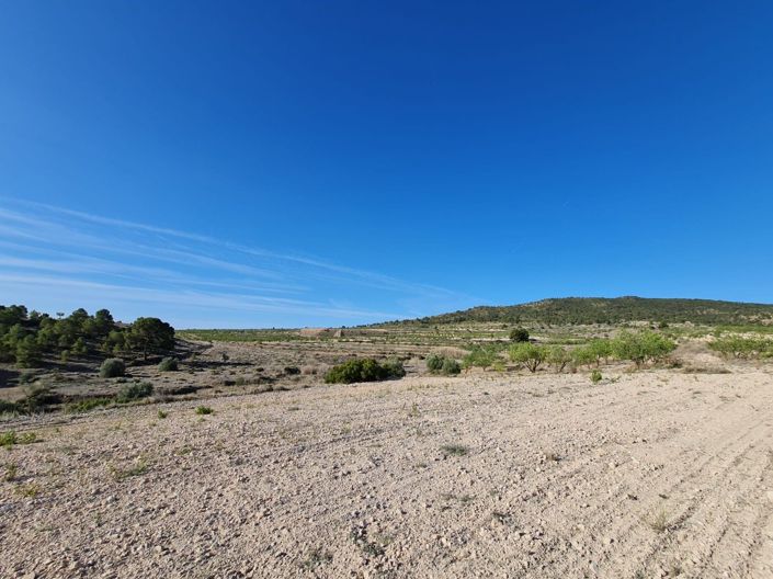 Image No.5-Land for sale