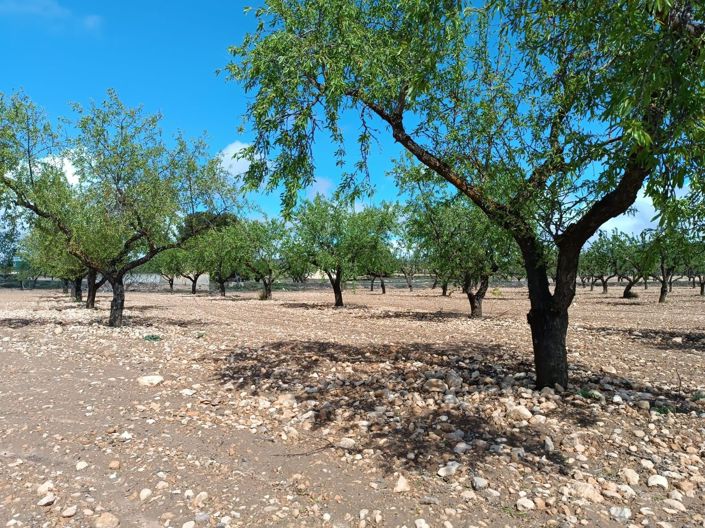 Image No.2-Land for sale