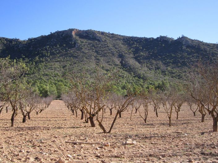 Image No.5-Land for sale