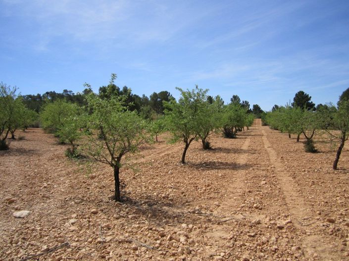 Image No.2-Land for sale