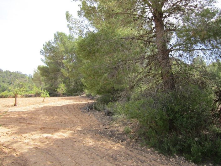 Image No.5-Land for sale
