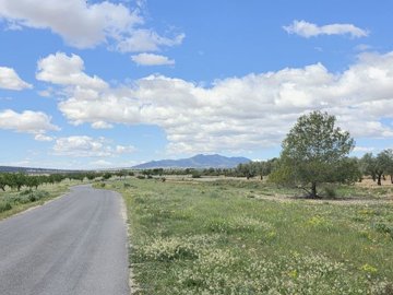 2178f07147bb6e31