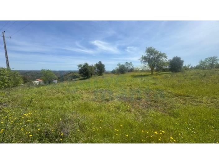 Image No.4-Land for sale