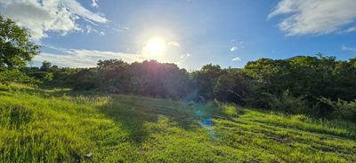 west20view1