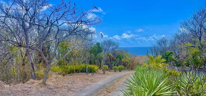 Image No.2-Propriété à vendre à Bequia