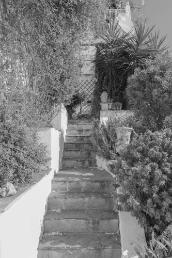 Image No.57-Villa / Détaché de 4 chambres à vendre à Monda