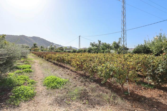 Image No.8-5 Bed Villa / Detached for sale