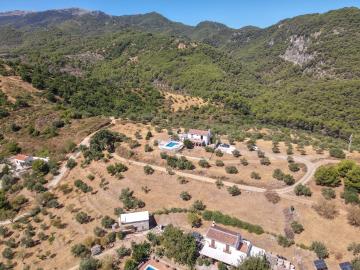 DJI_0540