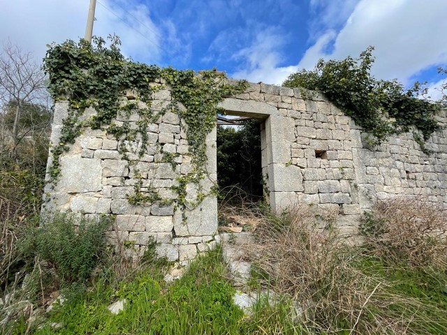 Image No.19-3 Bed Property for sale