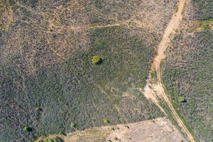 Image No.2-Terrain à vendre à Lagos