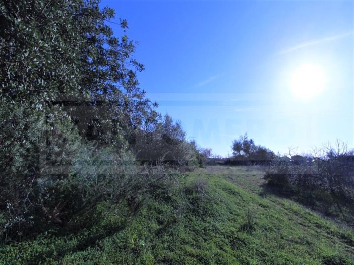 Image No.15-Plot for sale