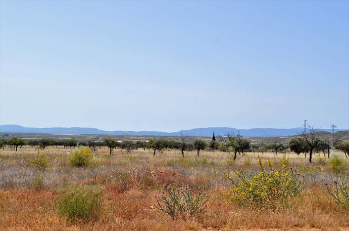 Image No.10-4 Bed Cortijo for sale