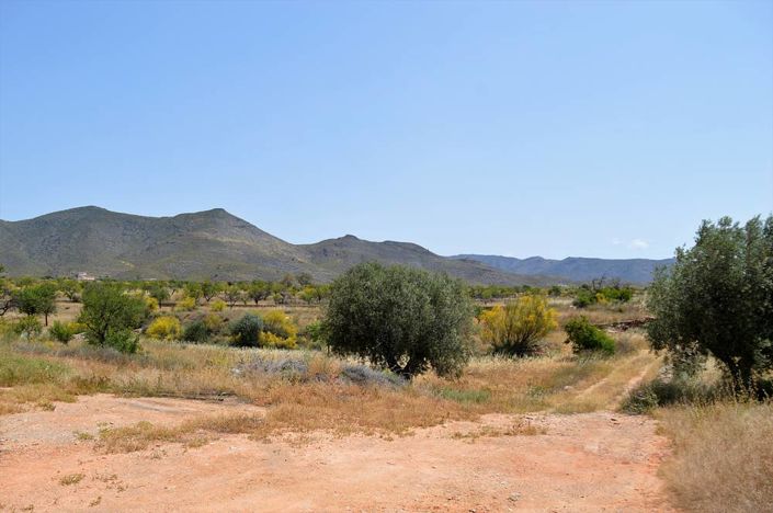 Image No.11-4 Bed Cortijo for sale