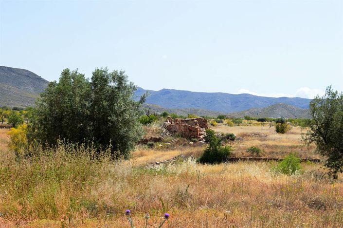 Image No.6-4 Bed Cortijo for sale