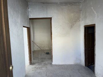 v3135245