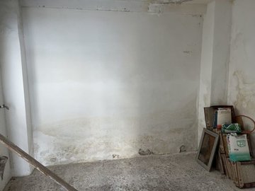 v3135246