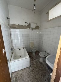 v3135247