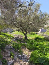 img20250328120009