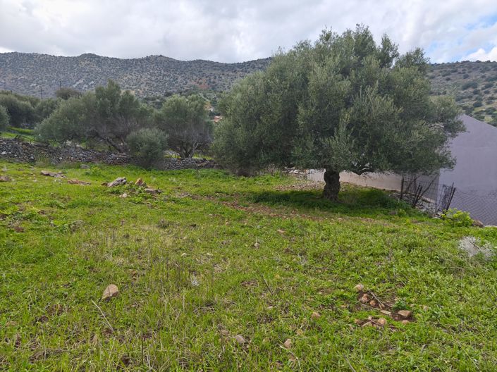 Image No.4-Land for sale