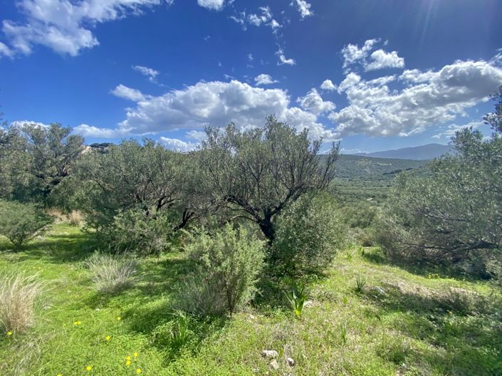 Image No.3-Land for sale