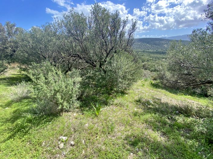 Image No.7-Land for sale