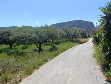 img20260429114841-1