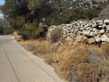 img3561