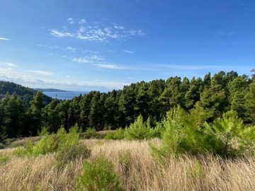 Photo 1 - Land 0 m² in Central Macedonia