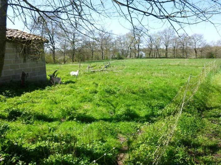 Image No.9-6 Bed House for sale