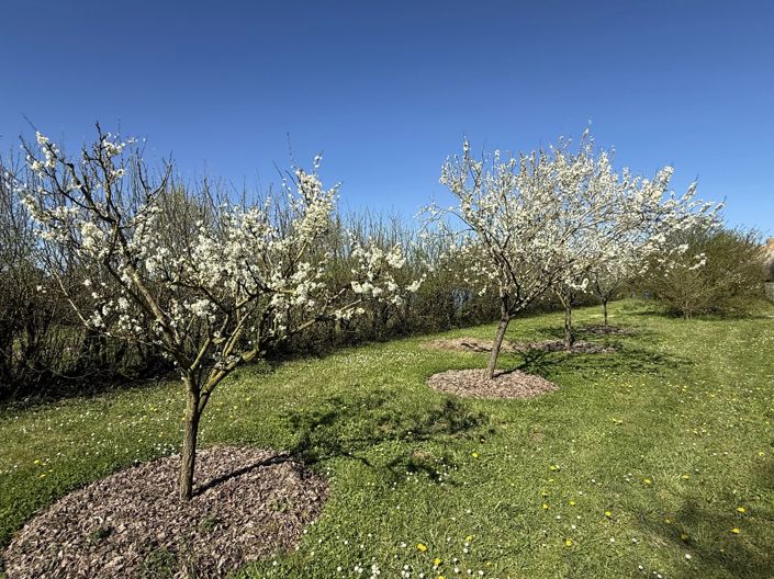 Image No.15-3 Bed Farmhouse for sale