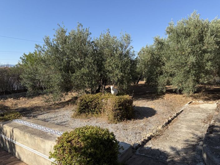 Image No.44-4 Bed Property for sale
