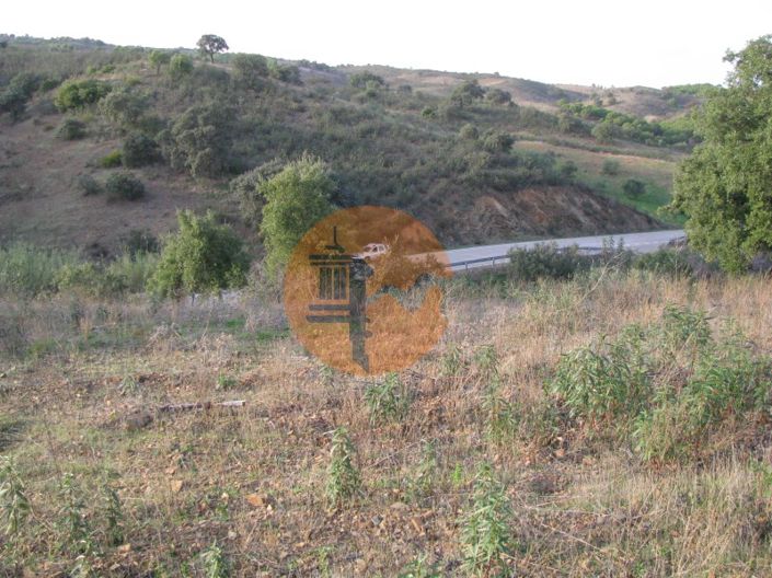 Image No.3-Plot for sale