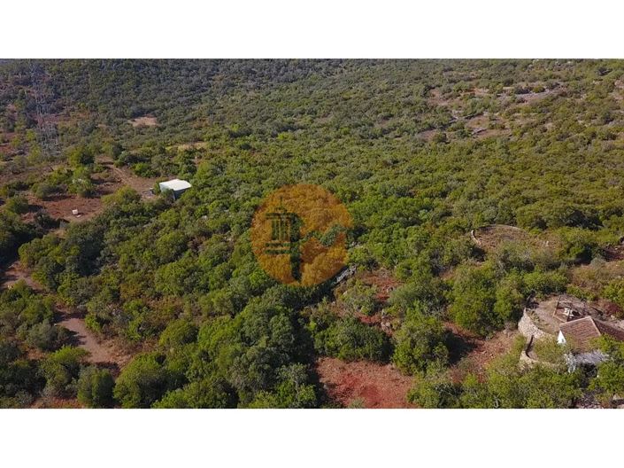 Image No.18-Plot for sale