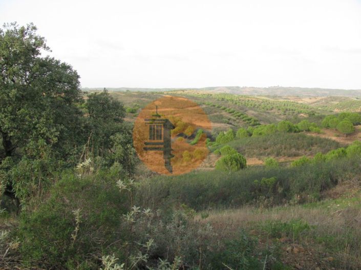 Image No.18-Plot for sale