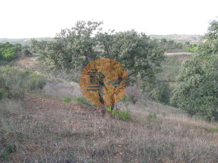 Image No.20-Plot for sale