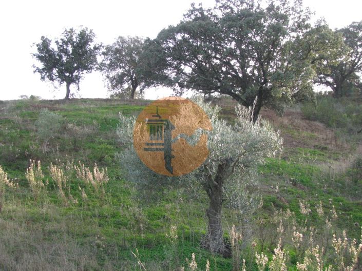 Image No.31-Plot for sale