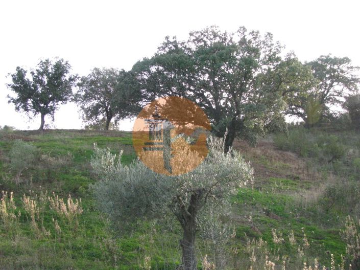 Image No.32-Plot for sale