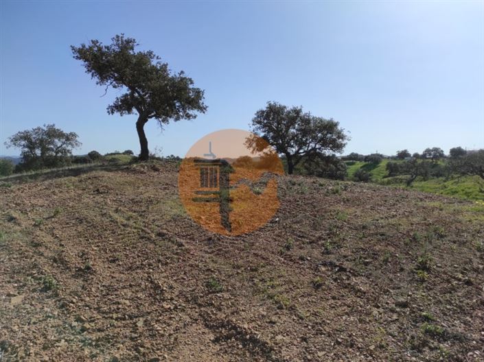 Image No.9-Plot for sale