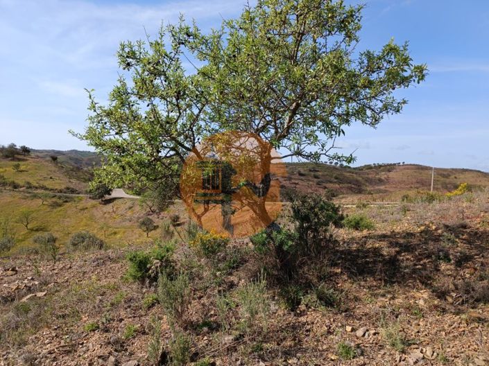 Image No.13-Plot for sale