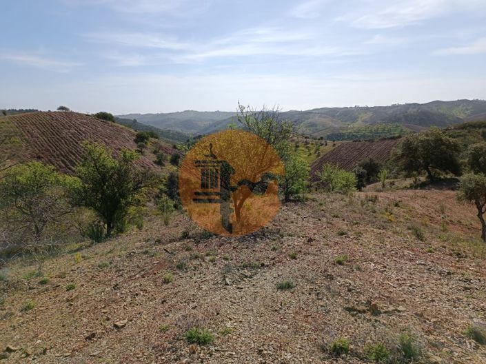 Image No.21-Plot for sale