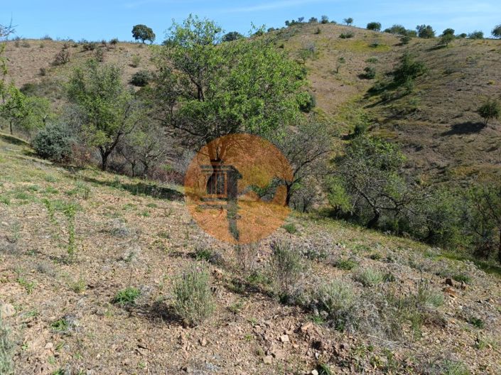 Image No.8-Plot for sale