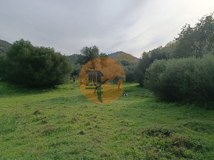 Image No.22-Plot for sale