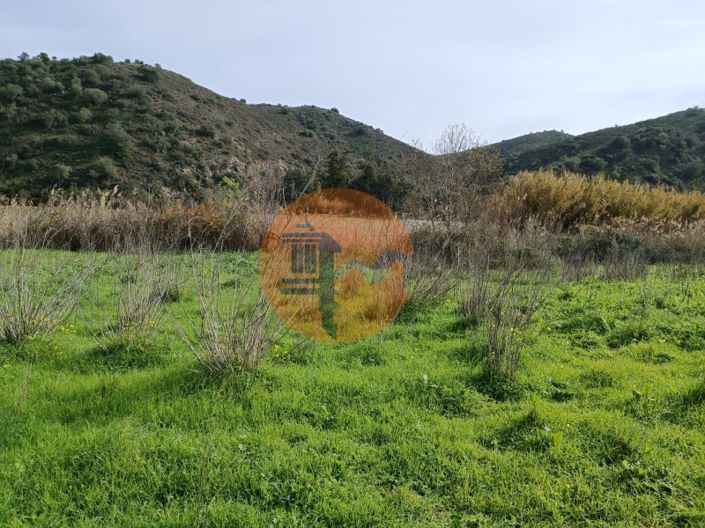 Image No.19-Plot for sale