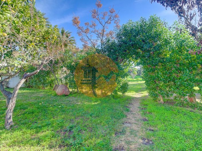 Image No.44-4 Bed Farmhouse for sale