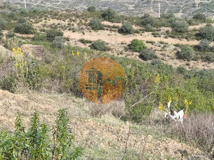 Image No.22-Plot for sale