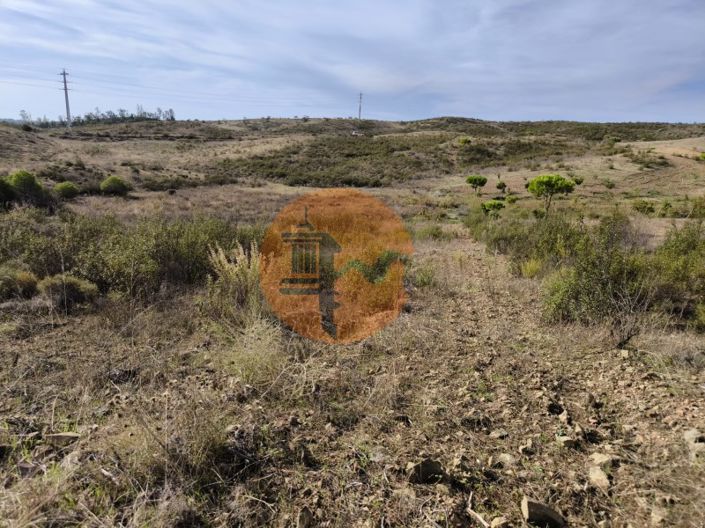 Image No.4-Plot for sale