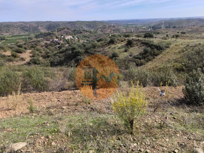 Image No.8-Plot for sale