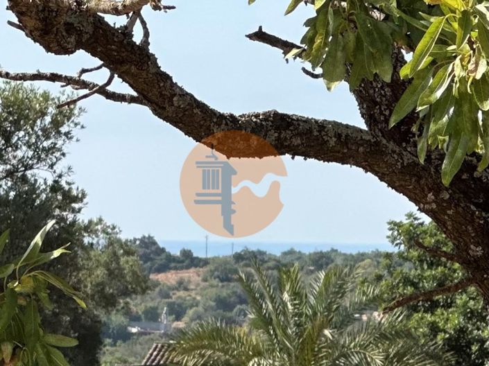 Image No.3-Parcela en venta